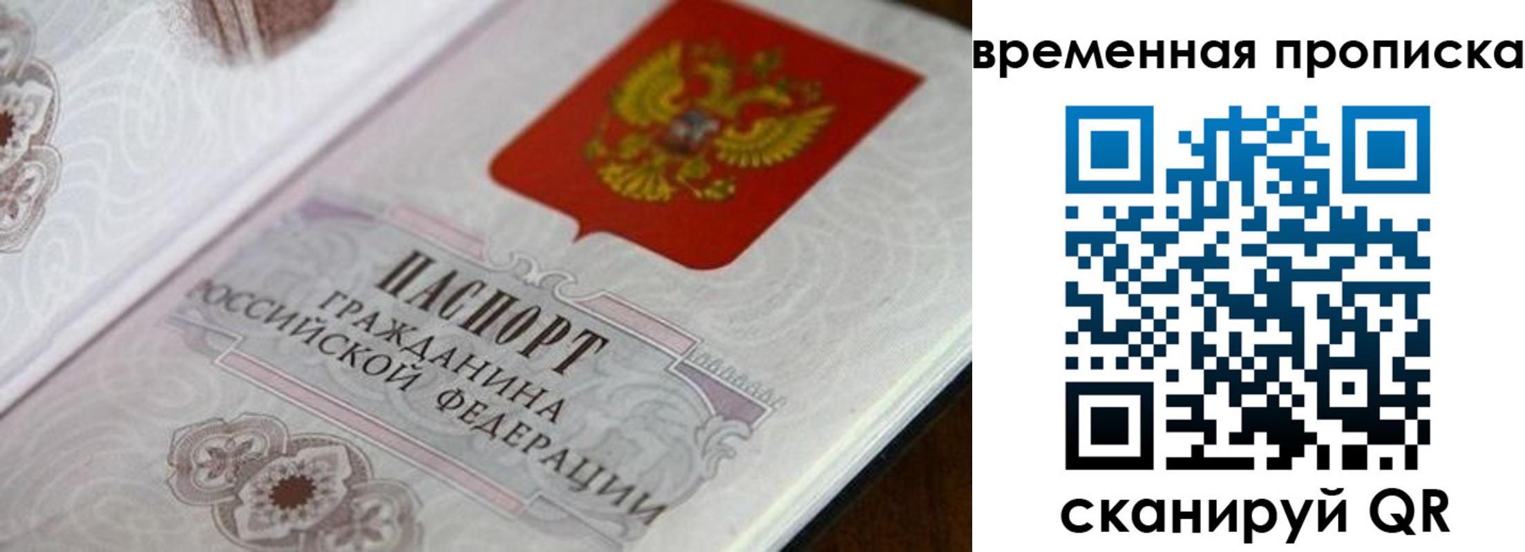 прописка от собственника в Далматово